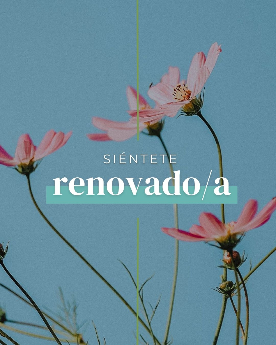 Siéntete renovado/a. Una pausa, una infusión, un nuevo comienzo.  Porque cuidarte también es regalarte momentos que te hagan sentir bien. 

✨ Que cada sorbo sea una forma de empezar de nuevo. 

#renuévateconnaturaleza #momentoparati #pharmadusbotanicals