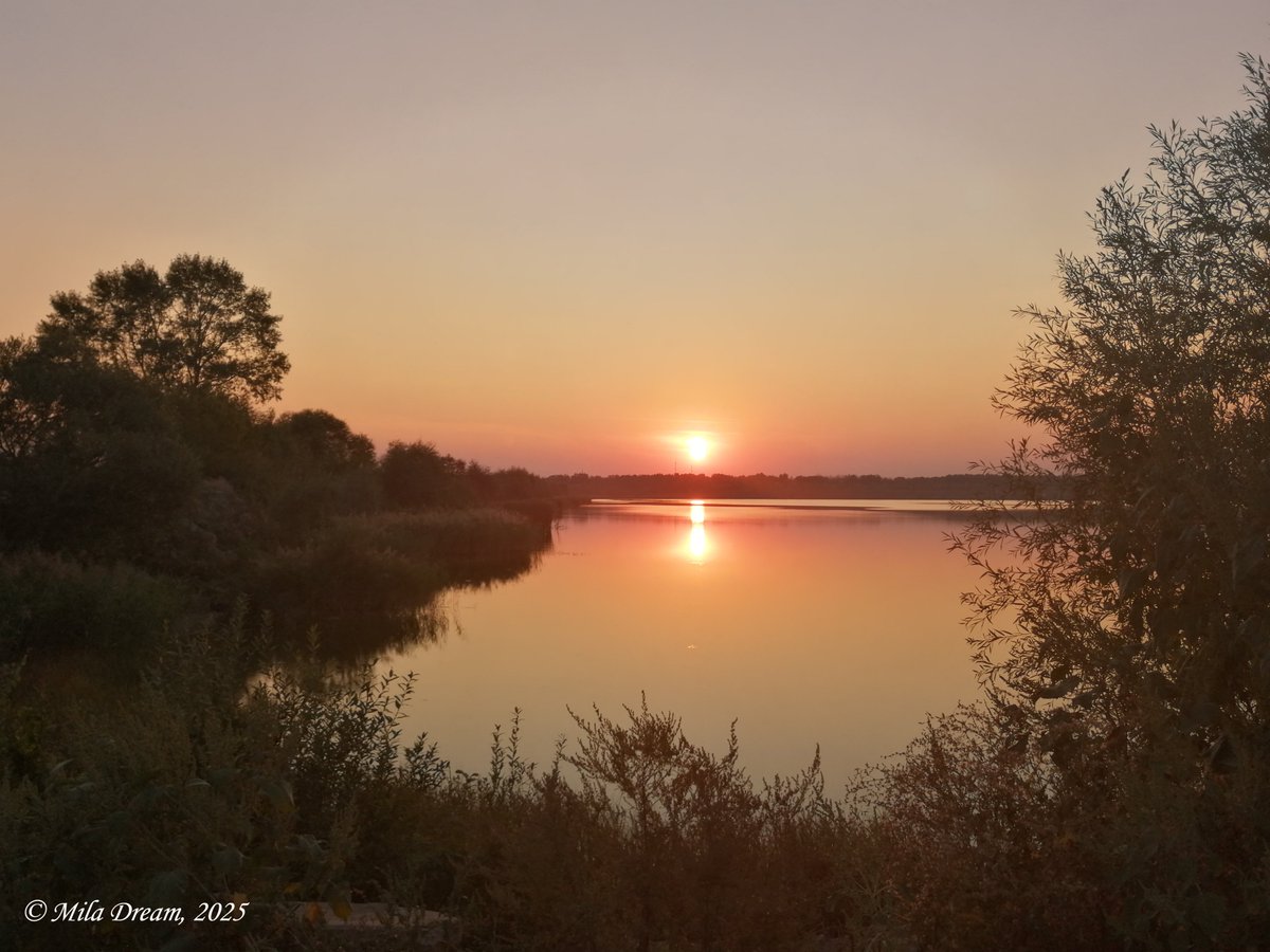 🌈THE #LUCKY #LAKE #NFTs 🌈
It happened at last! My NEW NFT 
collection with affordable prices:
▶️opensea.io/collection/the…
7 Best Lake Photos made by #MilaDream
are on OpenSea now.
Check it up ✨🙂✨
Recommended to buy🏞️
My favourite walking place ❤️
#МилаДрим
👑#MilaDreamQueen👑