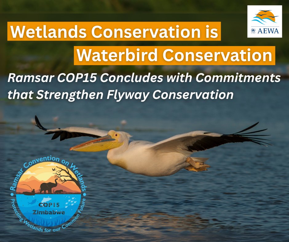 “Wetland conservation is waterbird conservation—and healthy wetlands are the foundation on which waterbird populations depend, ” AEWA Executive Secretary Jacques Trouvilliez. 🦆🏞️

#RamsarCOP15 wrapped up in Victoria Falls with new global commitments to protect and restore