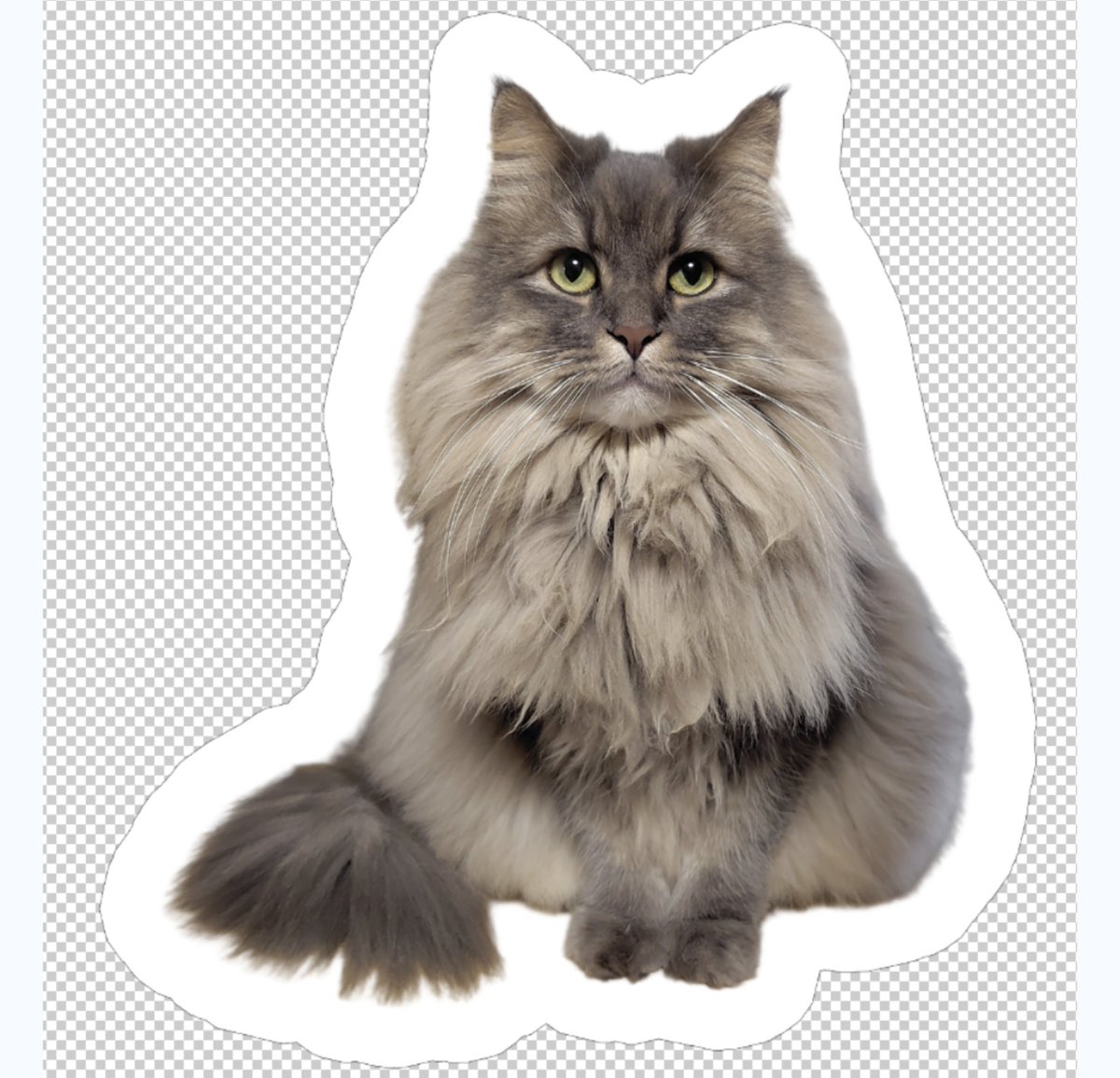 デザインイメージもかわいい💓優勝
初めてのうちのこグッズ楽しみ🎵