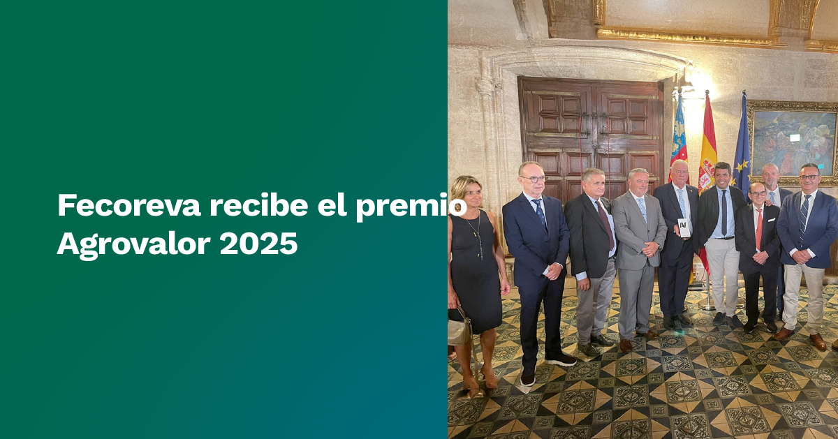 Queremos felicitar a la Federación de Comunidades de Regantes de la Comunidad Valenciana,<a href="/fecoreva/">Fecoreva</a>  que ayer recibió el galardón a la gestión de los recursos hídricos en la 1a edición de la gala de entrega de los Premios #AGROVALOR de la <a href="/generalitat/">Generalitat</a>
👉🏻fenacore.org/news/fecoreva-…