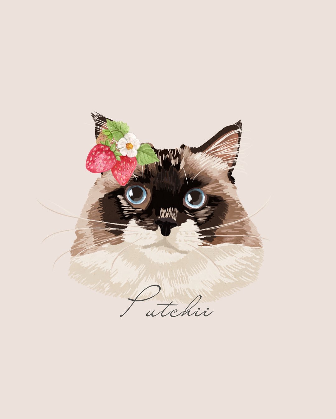 YUKARI 猫イラスト Yukari on X: 