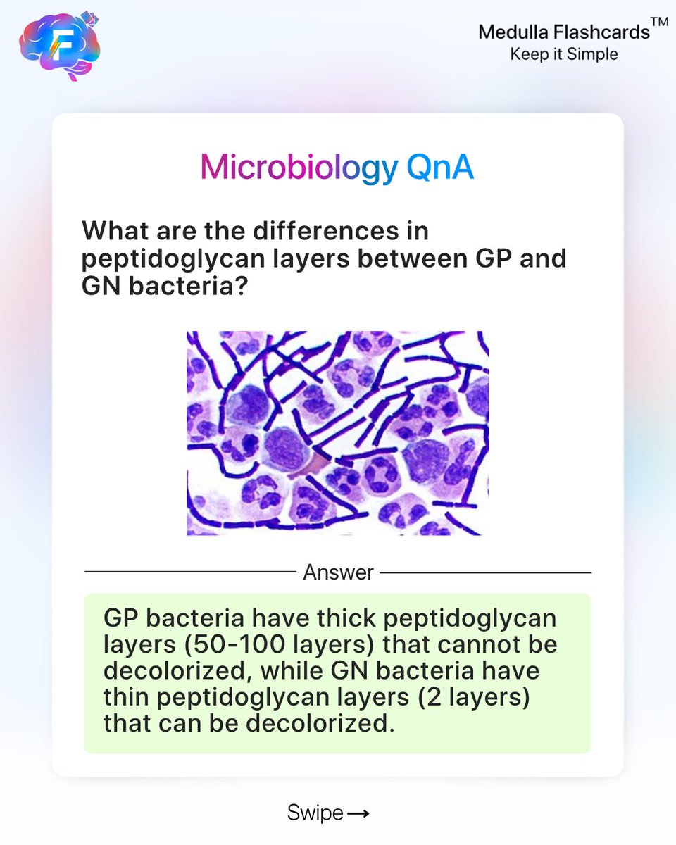 medullafc's tweet photo. I- Microbiology QnA
Do you know what sets Gram-positive and Gram-negative bacteria apart under the microscope?
Swipe to test your concept clarity and reinforce the basics!
#MicrobiologyQnA #MedullaFlashcards #NEETPGPrep #MedicalMicrobiology #StudySmart #ClinicalConcepts #Med https://t.co/6P5ODzCZvt