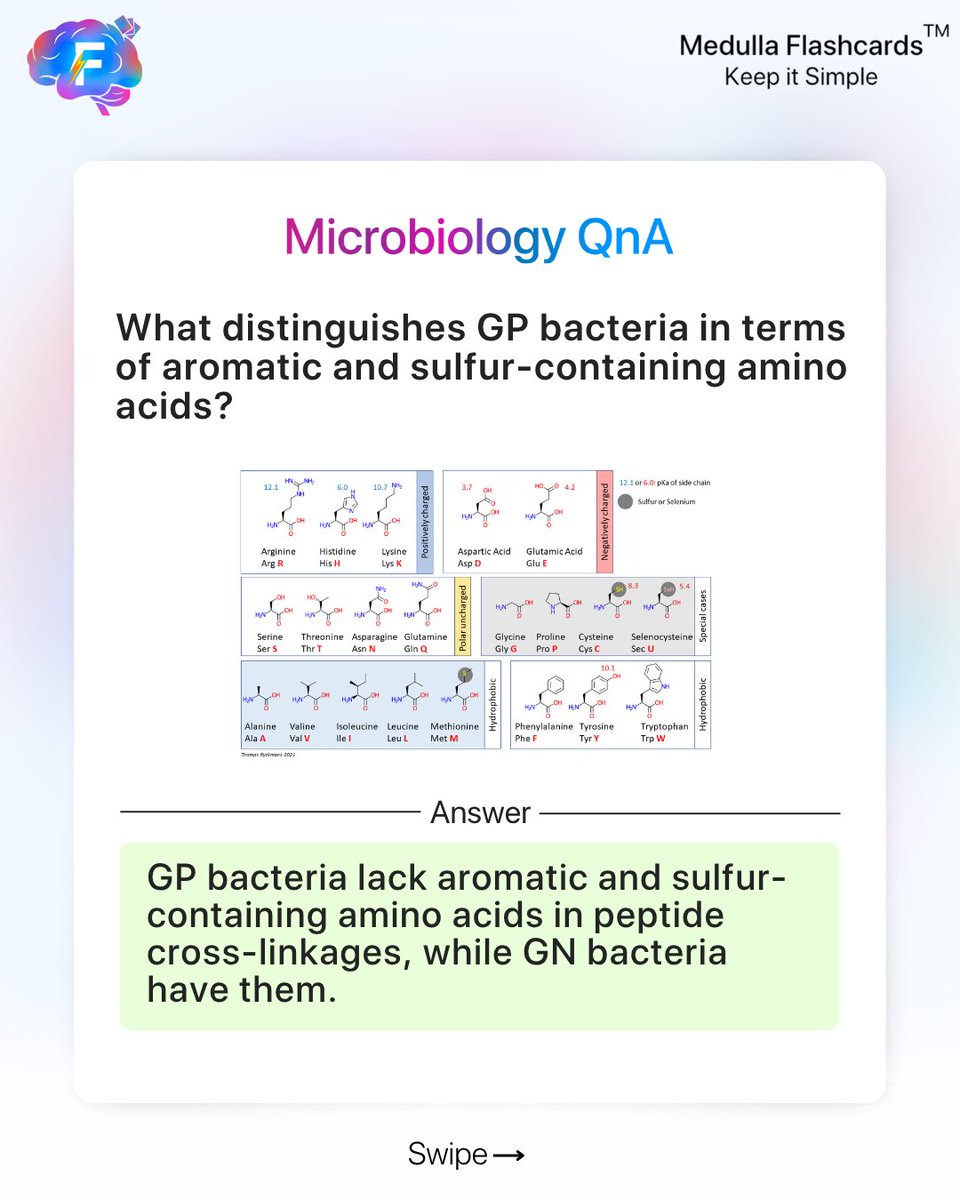 medullafc's tweet photo. I- Microbiology QnA
Do you know what sets Gram-positive and Gram-negative bacteria apart under the microscope?
Swipe to test your concept clarity and reinforce the basics!
#MicrobiologyQnA #MedullaFlashcards #NEETPGPrep #MedicalMicrobiology #StudySmart #ClinicalConcepts #Med https://t.co/6P5ODzCZvt