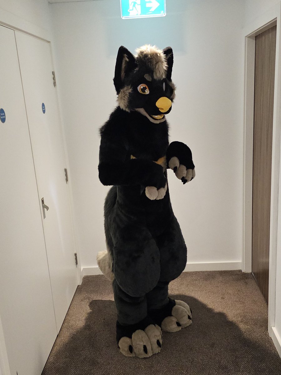 Byte - ๐ฆ @byte.nexus (@bytecache) on Twitter photo No matter what I'm wearing, the t-rex arms will always appear ๐ฆ
Happy #FursuitFriday
๐ชก <a href="/SGSuits/">Snow Gryphon Suits</a> No matter what I'm wearing, the t-rex arms will always appear ๐ฆ
Happy #FursuitFriday
๐ชก <a href="/SGSuits/">Snow Gryphon Suits</a>