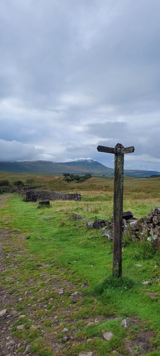lycra lout tweet media