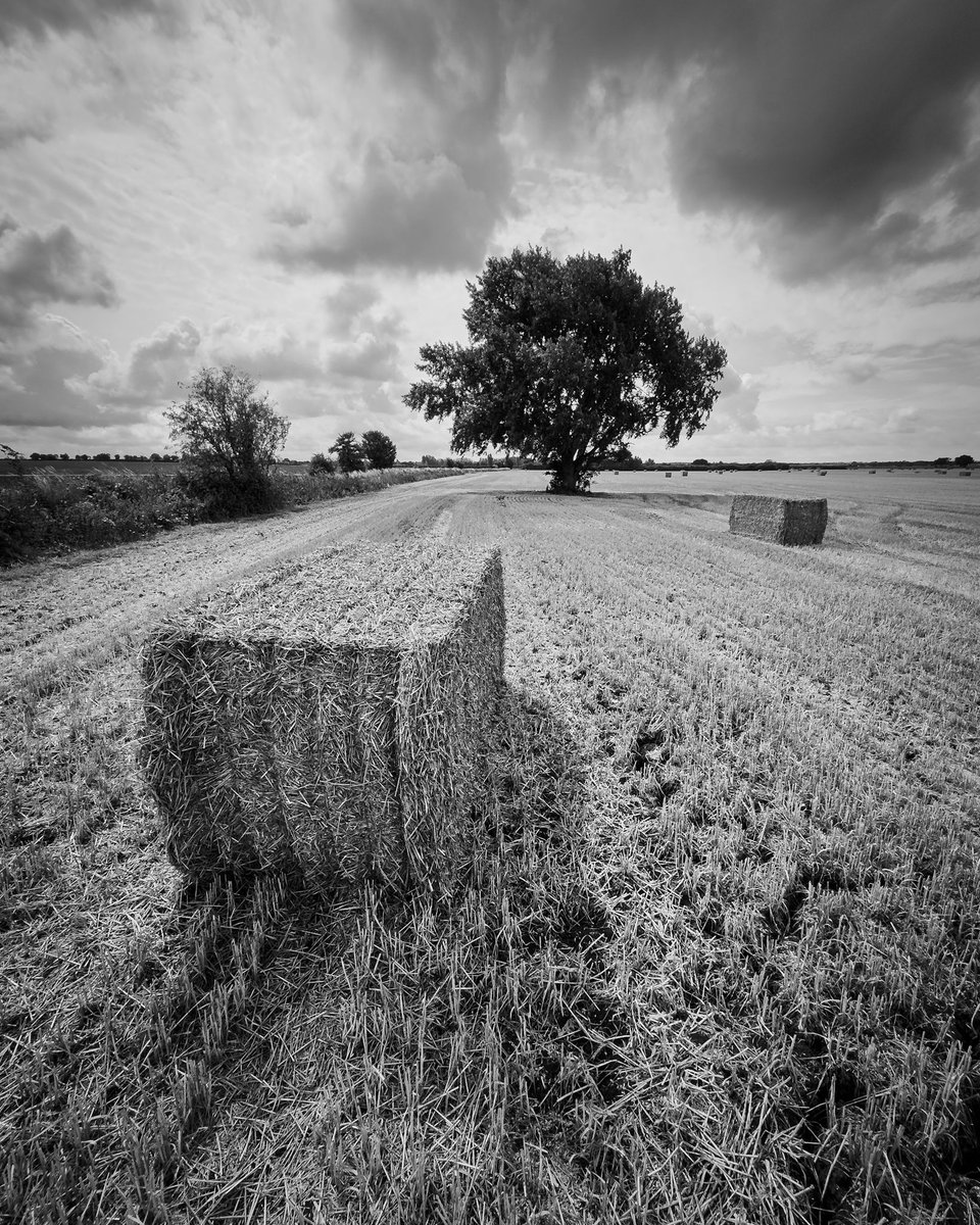 gilesthurston's tweet photo. Itโs a wet and miserable day today, so #harvest can take a pause and catch its breath, before going again when the sunshine returns.
โ
#photography #appicoftheweek @BWPMag #smartshots https://t.co/m7rZJRMqKz