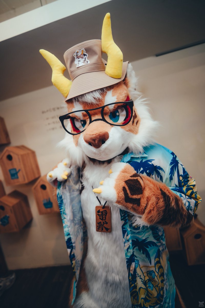 雷默LeiMo tweet media