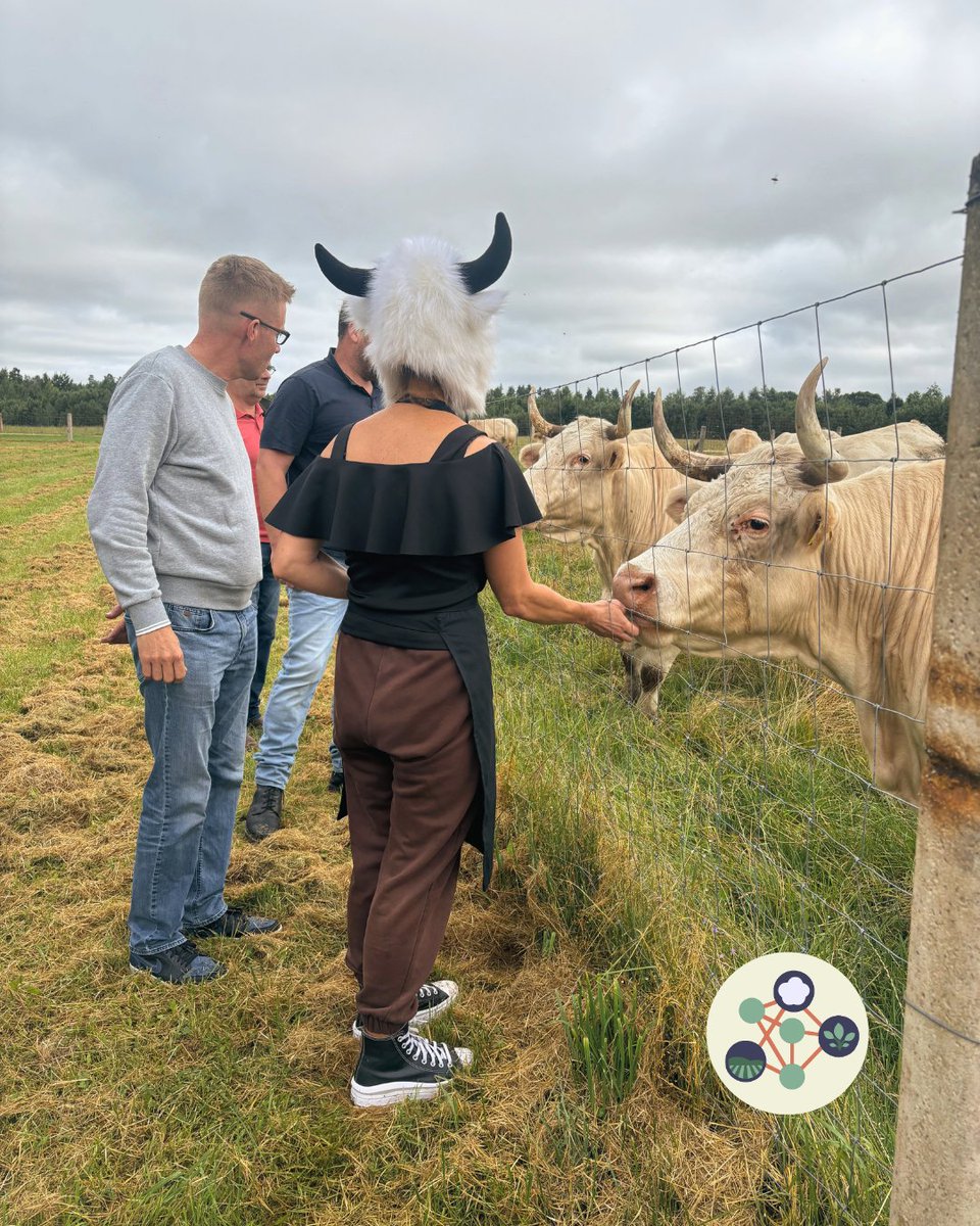 OrgClimateNET's tweet image. 🐄 Last day of #OrganicClimateNET in Latvia! We visited SIA “J-Parks”, a small organic Charolais farm with 22 cows, direct meat sales, rural tourism, workshops, composting &amp;amp; permaculture 🌱

A great example of self-sufficient, sustainable farming!
👉 organicclimatenet.eu