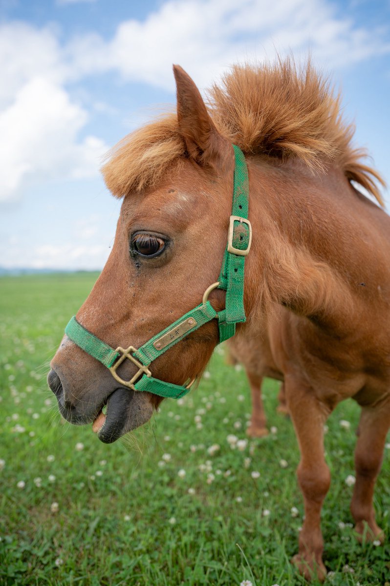 むーちゃん - Search / X