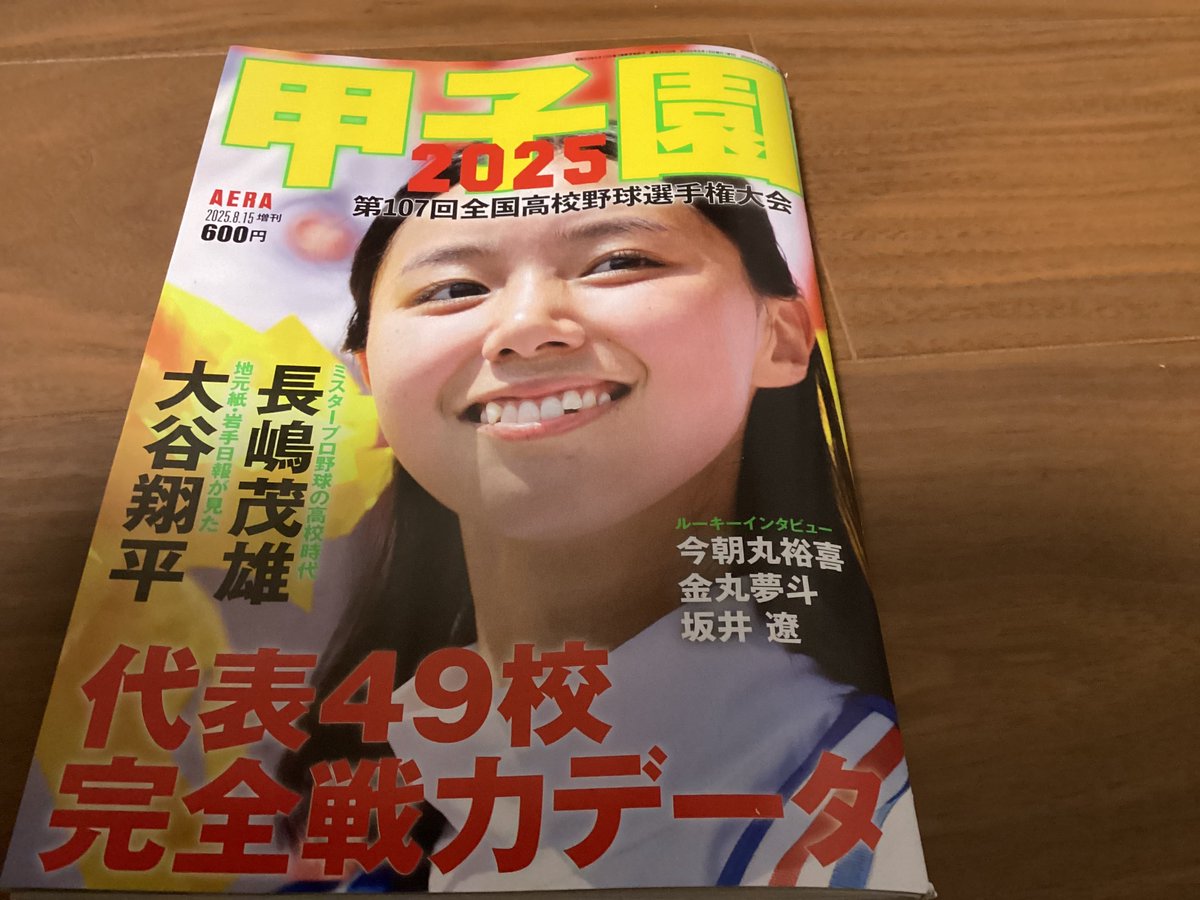 大甲子園 第89回全国高校野球選手権兵庫大会