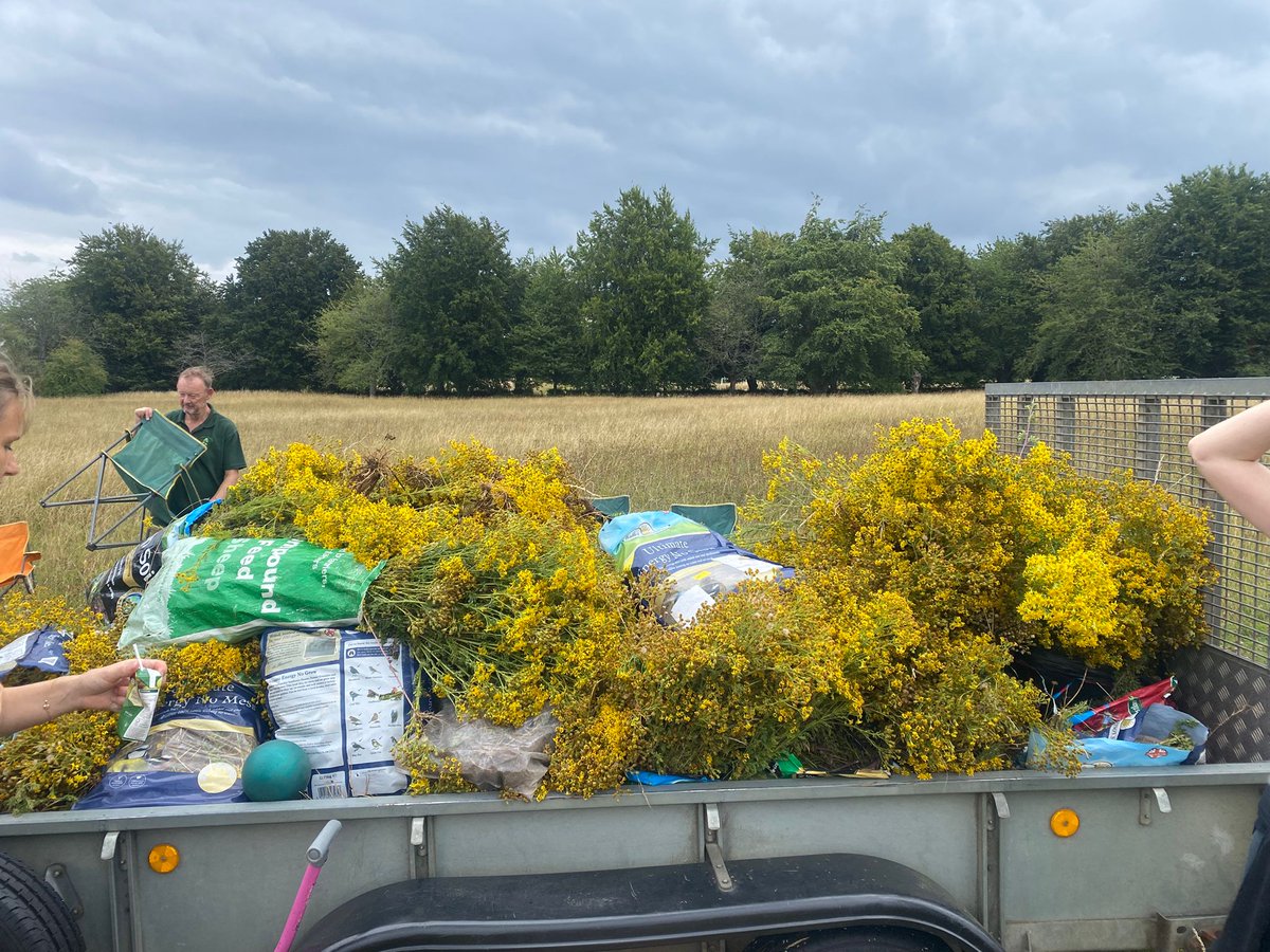 🌿 Connected to Nature, Committed to Community 🌿

Last week, members of the Connected Kerb and Ground Control teams came together for a hands-on conservation day in Surrey, pulling ragwort from a field due to be mowed for hay.

Ragwort, while beautiful, is toxic to horses and