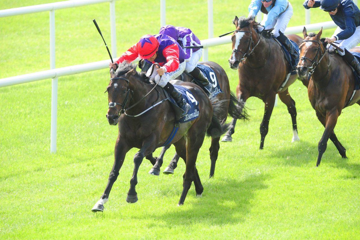 I’ve backed a couple of horses at Goodwood today 🏇

Good luck all! 🤞🏻

Dutch Decoy (2.30) @ 9/1
Push The Limit (4.55) @ 9/2

#EnigmaHN