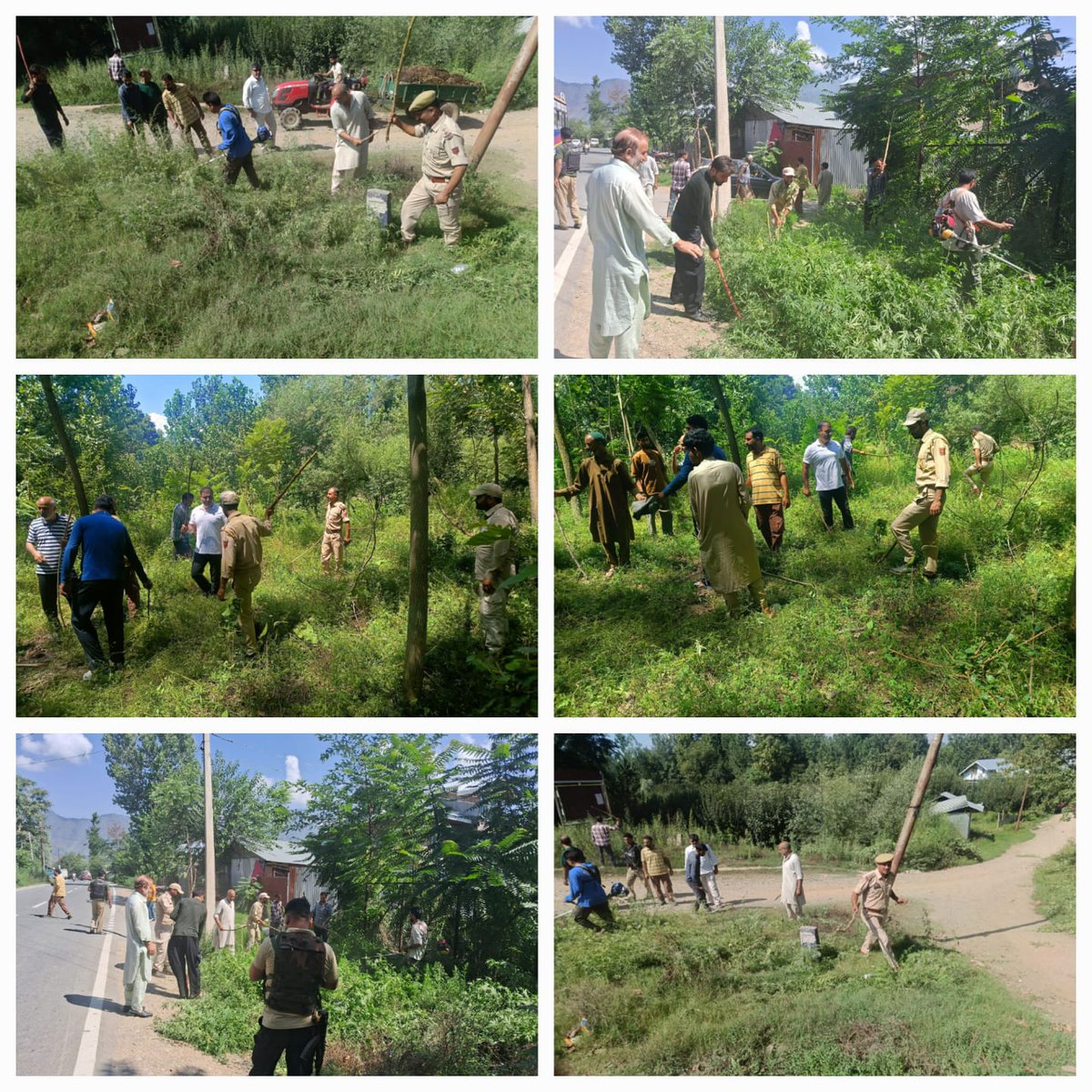 DISTRICT POLICE HANDWARA (@handwarap) on Twitter photo #HandwaraPolice destroyed illegally cultivated bung in Wahipora.
Locals appreciated for support. Public urged to report such activities. Strict action assured.
<a href="/JmuKmrPolice/">J&K Police</a>
<a href="/KashmirPolice/">Kashmir Zone Police</a>
<a href="/DIGBaramulla/">DIG of Police NKR Baramulla</a> #HandwaraPolice destroyed illegally cultivated bung in Wahipora.
Locals appreciated for support. Public urged to report such activities. Strict action assured.
<a href="/JmuKmrPolice/">J&K Police</a>
<a href="/KashmirPolice/">Kashmir Zone Police</a>
<a href="/DIGBaramulla/">DIG of Police NKR Baramulla</a>
