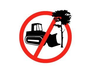 Hablaremos sobre #desmontes en la <a href="/UNLZoficial/">Universidad Nacional de Lomas de Zamora</a>, agradezco a <a href="/danyvilar/">Daniela Vilar</a> por la invitación a la pre - <a href="/Cop30noBrasil/">COP30 Brasil</a> 🌳 #gracias 

Participaremos del panel con <a href="/Naty_Zaracho/">Natalia Zaracho</a>, <a href="/GracielaCamano/">Graciela Camaño</a>, Eva Limone y Matías Barrotaveña para hablar sobre las leyes ambientales que faltan 🧐