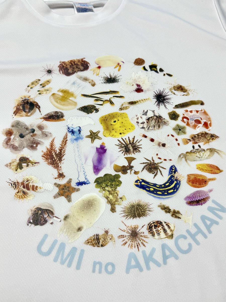 さかなページ！ でんか@『海のあかちゃん』『ヤドカリ探索図鑑』8月発売