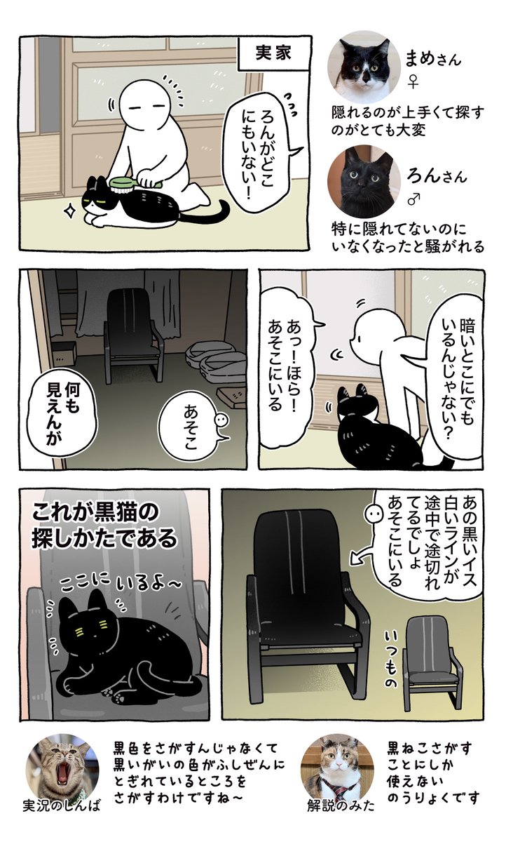 黒猫の探しかたのコツ