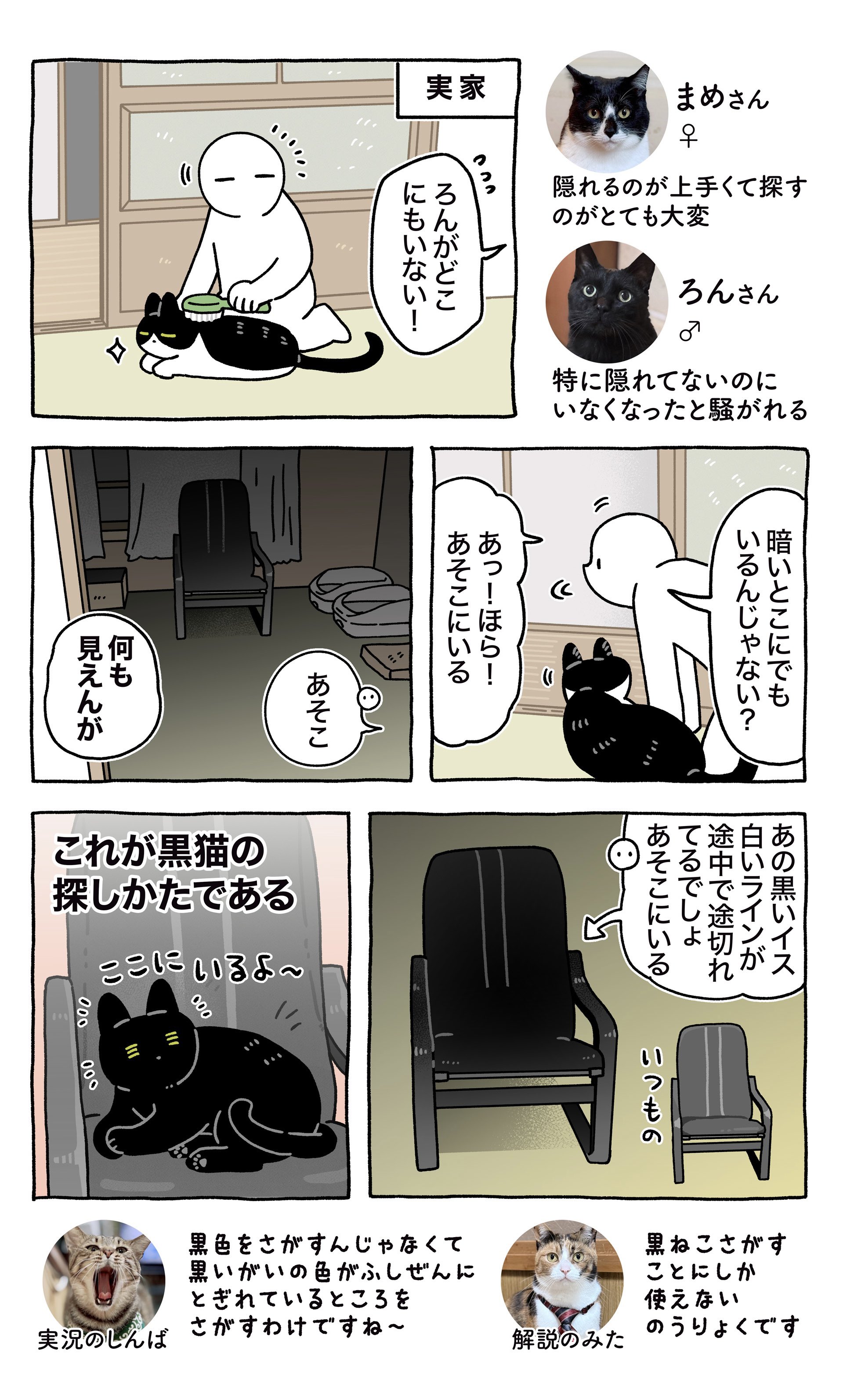 猫A 画像1 ＋ 14 最終値下げしました！ おーちゃん HIMAWARIちゃんねる on X: 