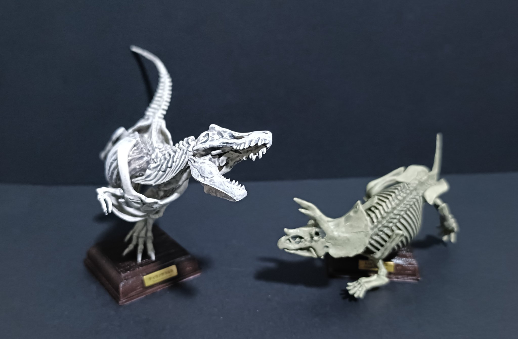 ネイチャーテクニカラー　古生物　台座シリーズ　ガチャガチャ　骨格　恐竜 NTC 古生物 – ネイチャーテクニカラー公式