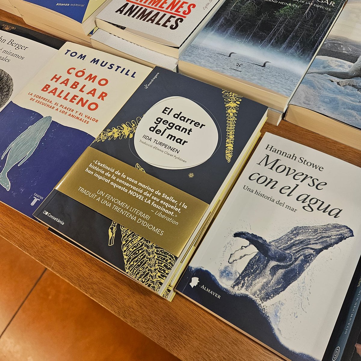 Si us fascinen les balenes, a la planta inferior tenim unes quantes lectures que us encantaran😍

🐳 CÓMO HABLAR BALLENO: altair.es/cat/libro/como…

🐳 EL DARRER GEGANT DEL MAR: altair.es/cat/libro/darr…

🐳 MOVERSE CON EL MAR: altair.es/cat/libro/move…