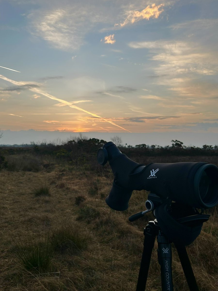BallydanganBog (@ballydanganbog) on Twitter photo A look back at the early spring mornings on Ballydangan Bog📍
<a href="/HeritageHubIRE/">The Heritage Council</a> #Heritagecouncil A look back at the early spring mornings on Ballydangan Bog📍
<a href="/HeritageHubIRE/">The Heritage Council</a> #Heritagecouncil