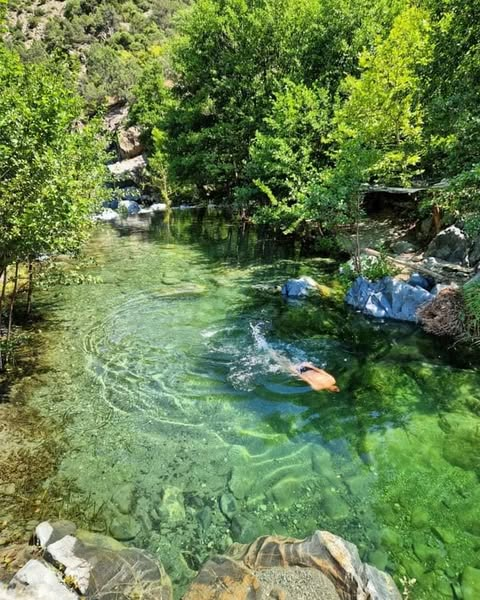Еве ја Дошница - раката која свињите во костуми сакаат да ја стават во цевка и да ја убијат!

Кој е нивниот план?

1. Добиваат концесија
2. Имаат владение врз реката и нејзиното корито
3. Ги приватизираат реката и земјата за симболична цена со амин од нивните партнери во власта