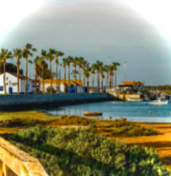 Katerina Waldersee (@kwaldersee) on Twitter photo Long sandy beaches, golf, Andalucian flair and now, <a href="/PlacidoDomingo/">Placido Domingo</a> . In Chiclana de la Frontera on the Atlantic coast of Spain, a concert with the Spanish star on Sunday, 3rd August, 2025. Just days after an emotional performance in Alicante, the intrepid singer will be joined Long sandy beaches, golf, Andalucian flair and now, <a href="/PlacidoDomingo/">Placido Domingo</a> . In Chiclana de la Frontera on the Atlantic coast of Spain, a concert with the Spanish star on Sunday, 3rd August, 2025. Just days after an emotional performance in Alicante, the intrepid singer will be joined