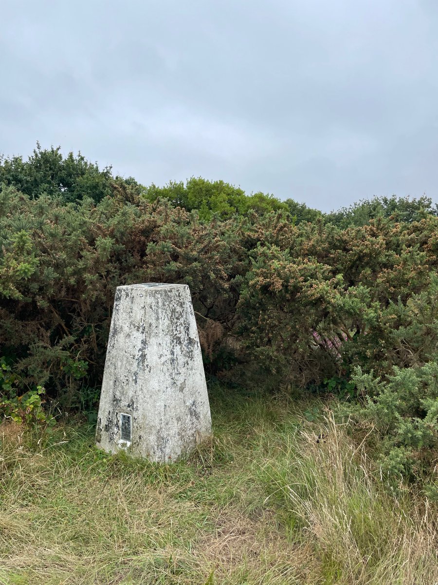 Lil olde trig on hill above West Kirby on the Wirral.
@trigpointthursday
<a href="/trigbagging/">UK Trigbagging</a> 
#trigpointthursday