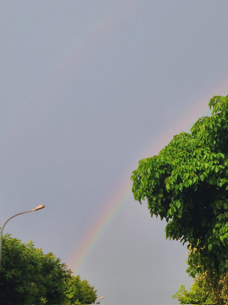 虹