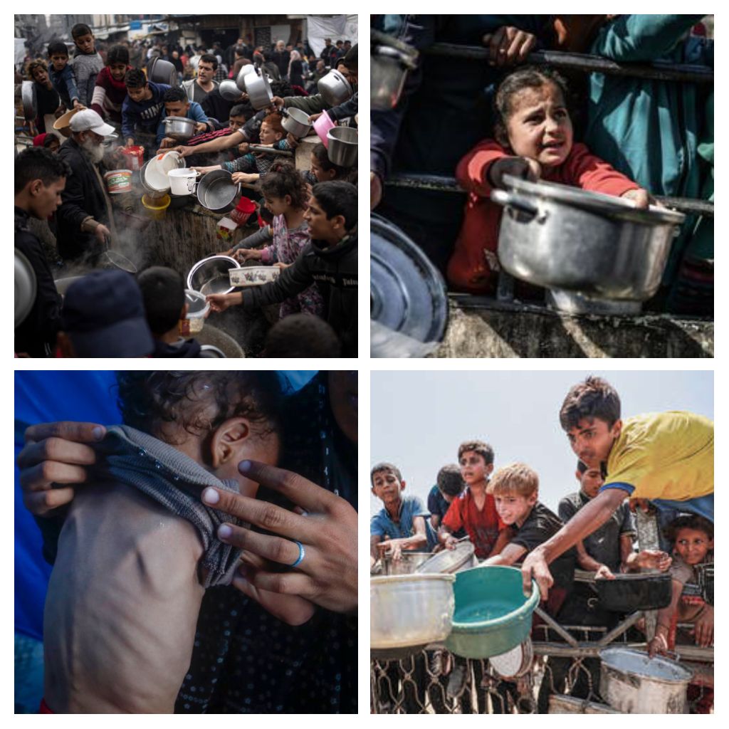 Colibrí (@colibr76018428) on Twitter photo No es admisible asesinar a niños, mujeres y ancianos desesperados por recibir alimentos, alegando que son "terroristas" perseguidos por Israel, ese es el mayor crimen que se comete hoy ante los ojos del mundo.
¡Basta de genocidio!
#FreePalestine 
#CubaConPalestina No es admisible asesinar a niños, mujeres y ancianos desesperados por recibir alimentos, alegando que son "terroristas" perseguidos por Israel, ese es el mayor crimen que se comete hoy ante los ojos del mundo.
¡Basta de genocidio!
#FreePalestine 
#CubaConPalestina