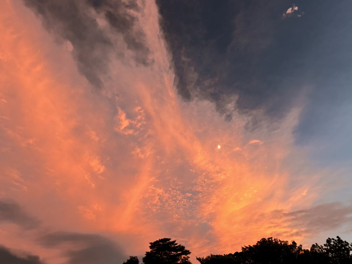 燃えるような夕日が綺麗と思ってたら、夕日の中に月が！🌙