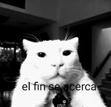 ElWettor tweet media