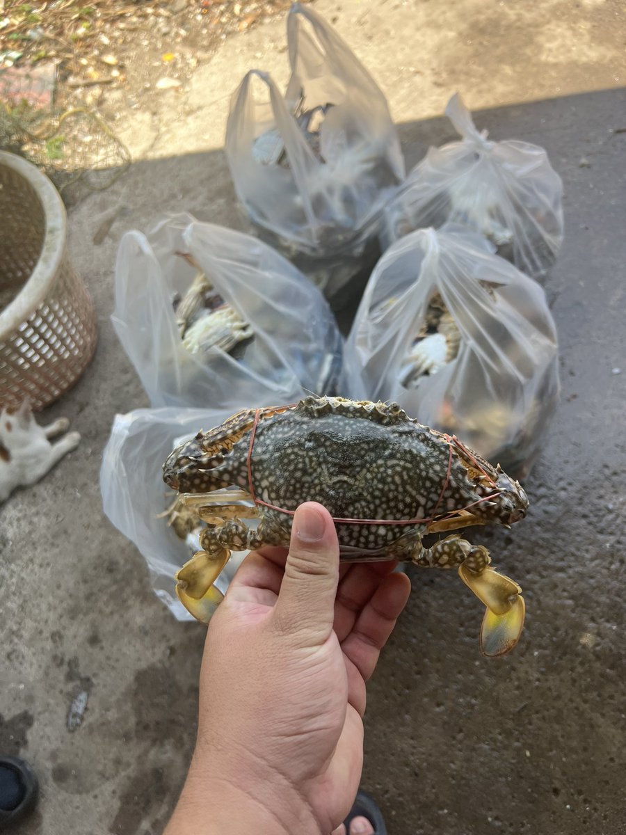 😊😊 สดจี๋ๆๆ  
#ชลบุรี