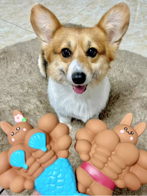 For pet lovers, there's no higher praise than a pet's preference. #jet2holiday #pet #petlover #fyp #dogs #doglovers