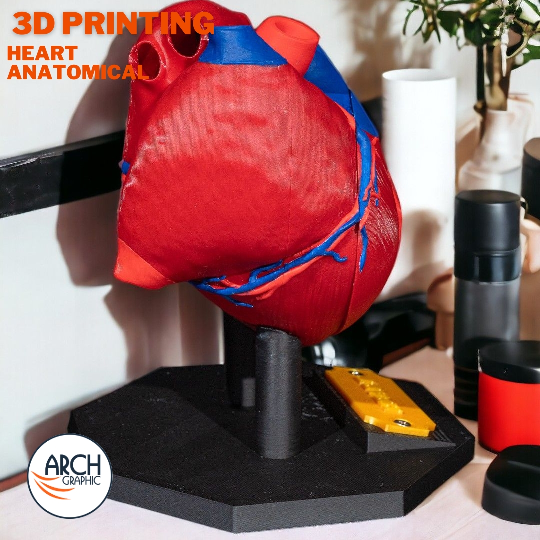 3d_archgraphic's tweet image. ❤️ 3D Printed Heart Anatomical Model 🔬
High-detail medical model for cardiology training, research, surgical planning.
arch-graphic.com
#3DPrintingUAE #Medical3DPrinting #HeartModel #CardiologyTraining #AnatomicalModels #SurgicalPlanning #Healthcare3DPrinting #UAE3DPrint
