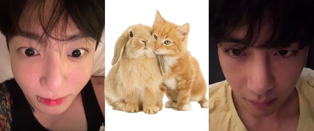 SORA♡JK♡ jungkook.97 on X: