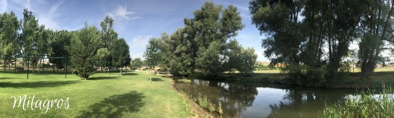Partido Castellano - Tierra Comunera (@partcastellano) on Twitter photo 🌱¿Te interesa el futuro de los pueblos de #Castilla?
🤗 Apúntate al encuentro de verano del <a href="/PartCastellano/">Partido Castellano - Tierra Comunera</a>
🗓️ Sábado 9 de agosto en #Milagros
💧Naturaleza, debates sosegados, ideas compartidas, cultura, paseo por la ribera del #Riaza...
ℹ️ partidocastellano.org/2025/07/25/te-…
#Burgos 🌱¿Te interesa el futuro de los pueblos de #Castilla?
🤗 Apúntate al encuentro de verano del <a href="/PartCastellano/">Partido Castellano - Tierra Comunera</a>
🗓️ Sábado 9 de agosto en #Milagros
💧Naturaleza, debates sosegados, ideas compartidas, cultura, paseo por la ribera del #Riaza...
ℹ️ partidocastellano.org/2025/07/25/te-…
#Burgos