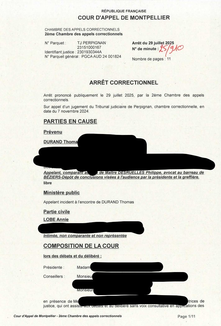 Acermendax's tweet image. Voici le contenu de l’arrêt de la cour d‘appel de Montpellier qui entérine la mort de la nuance entre critiquer un discours et injurier publiquement son auteur. 

-- 11 pages