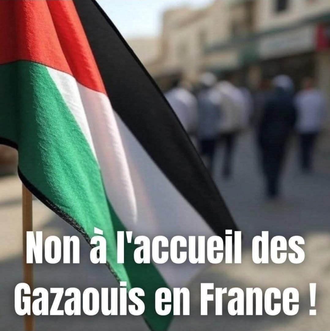 🚨 SCANDALE D'ÉTAT

L’affaire Nour Atallah est une gifle pour la France, une trahison d’État qui éclabousse jusqu’au sommet du pouvoir.

🔴 Les faits sont accablants :

• Issue d’un clan lié au Hamas, Nour Atallah a obtenu un visa via le Consulat français de Jérusalem, puis une