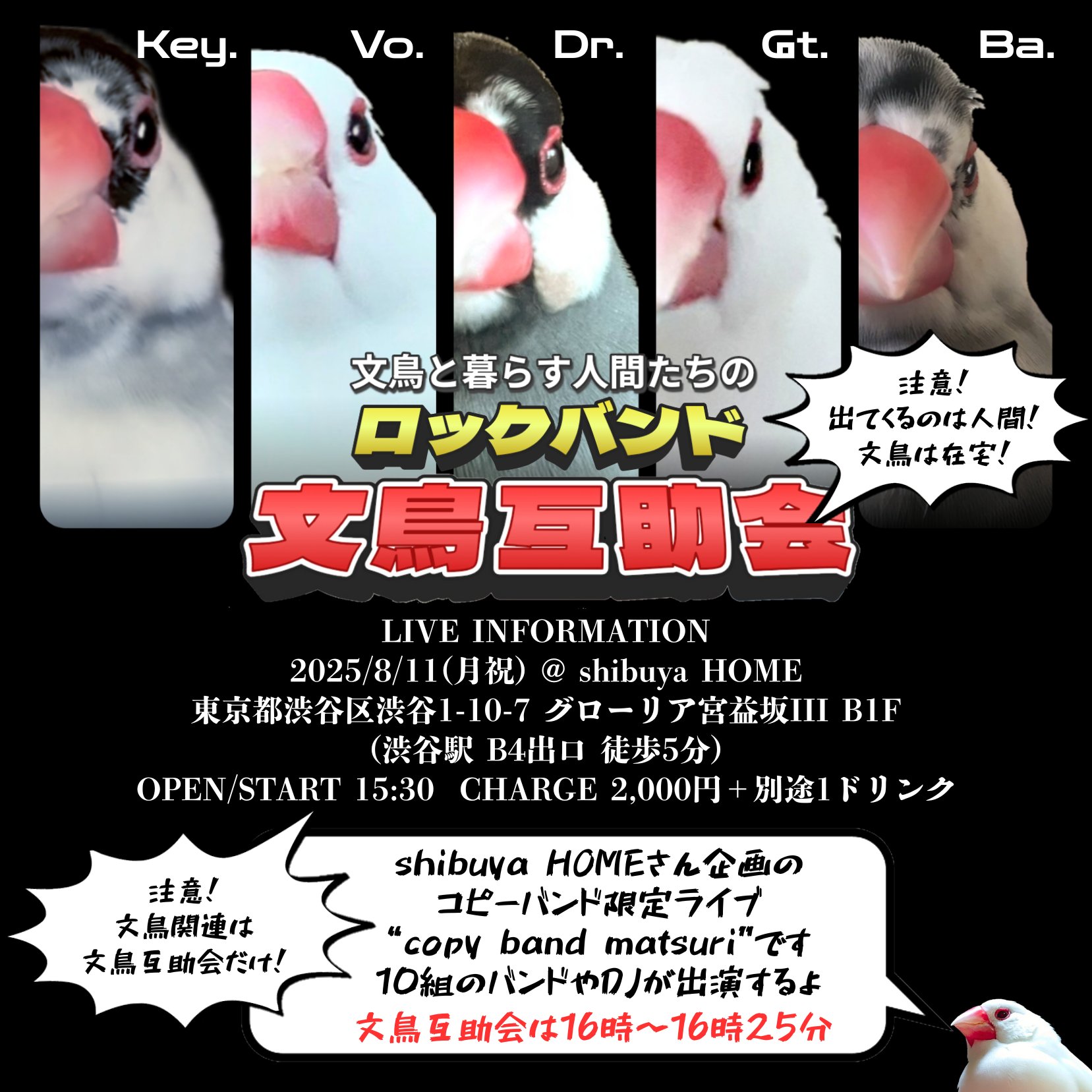 鳥人間コンテスト様 まとめ買い Amazon.co.jp: 鳥人間コンテスト 30th ANNIVERSARY DVD-BOX