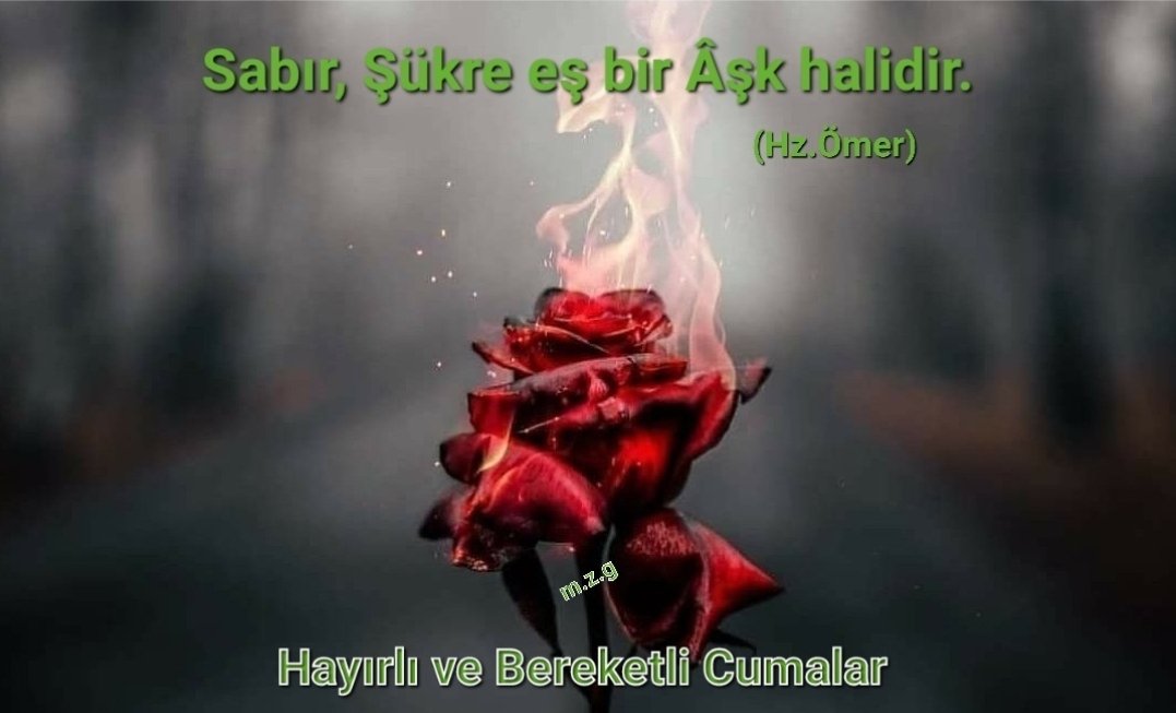 Sabır, Şükür'e eş bir aşk halidir.

Hz. Ömer (R.A)

Hayırlı ve Bereketli Cumalar