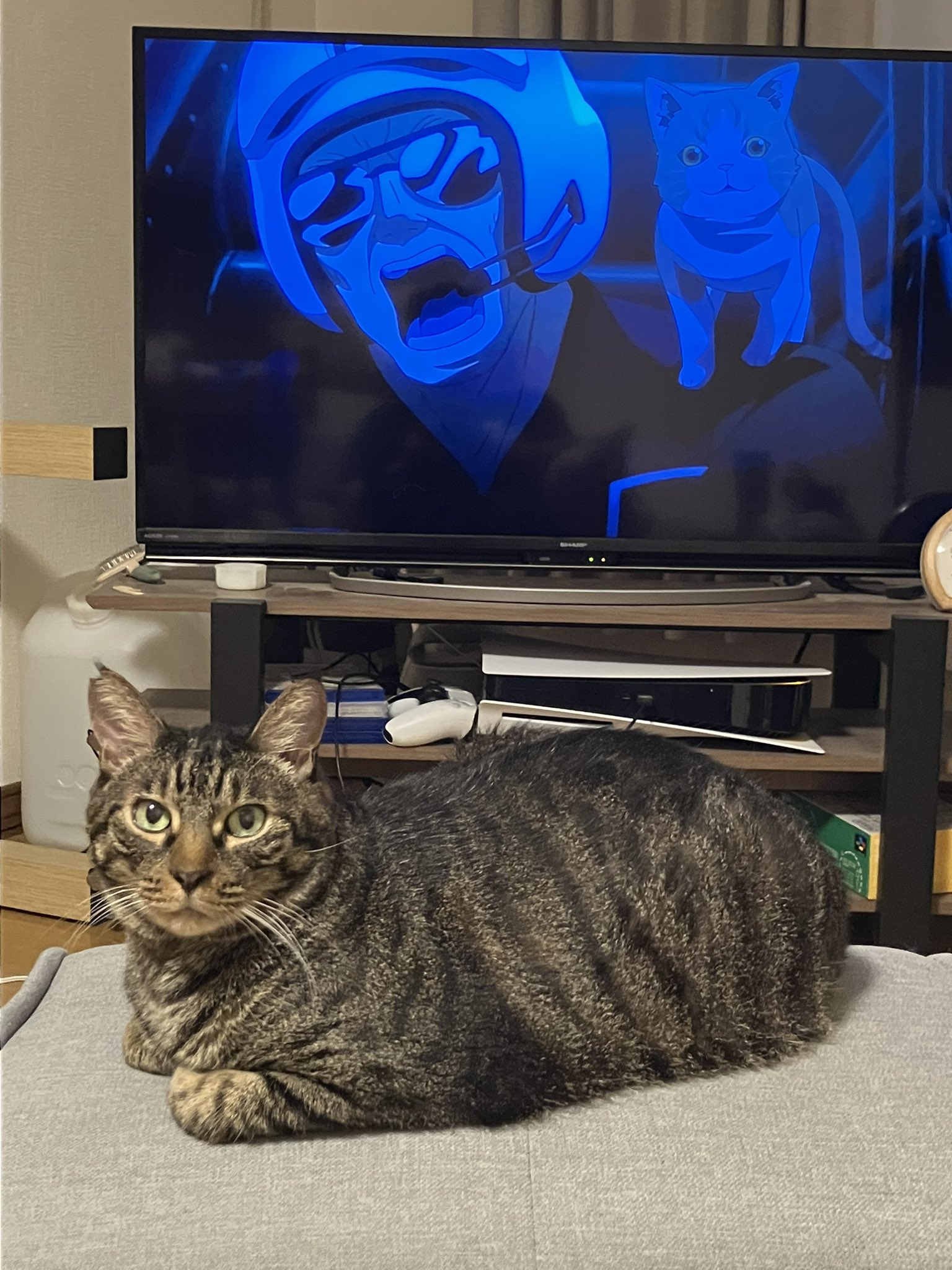 ネコワナンビキオッテモコマランと思う。ページ MARCY on X: