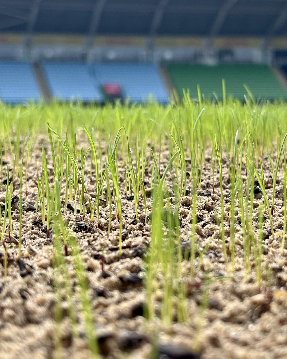 Getting ready 🌱

#COYQ