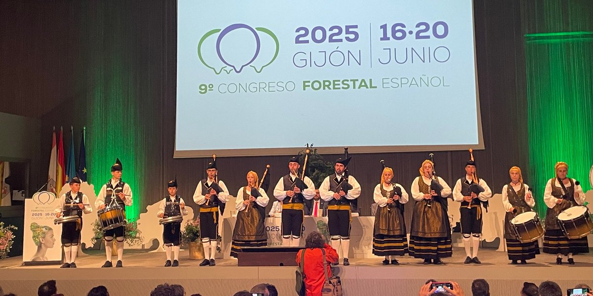 📢 ¡Revive el #9CFE! Accede a la web y podrás visualizar algunos de los recursos con videos de impactos en medios y radio, imágenes, conclusiones y actas, y otras acciones de difusión y divulgación de lo que pasó en Gijón.
¡Feliz verano!

Toda la info: 👉🏽 bit.ly/asivivimos9CFE