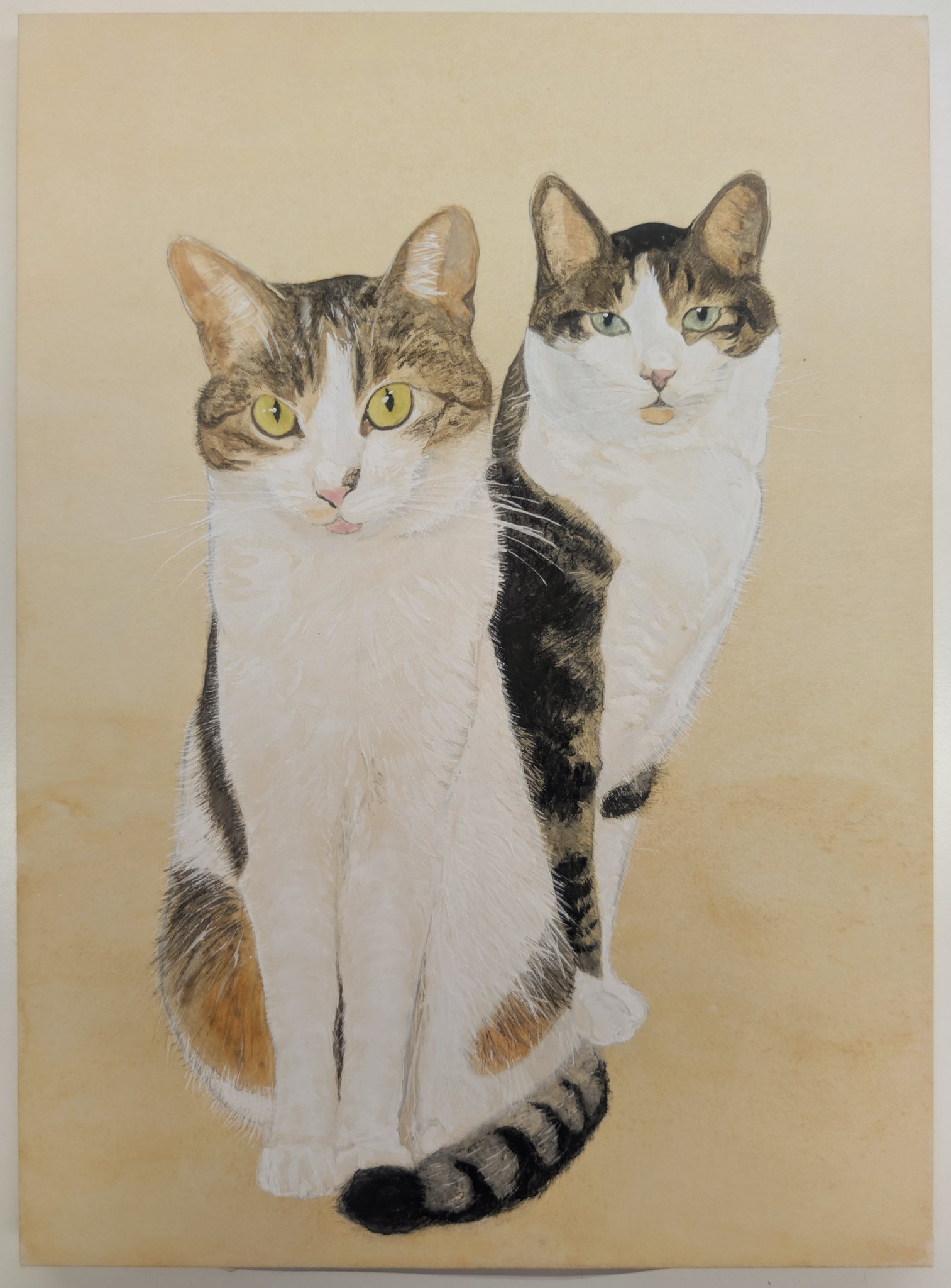 猫の絵　シリーズ扉その② Kiyoshi Saito. Two Cats. 1952 | MoMA