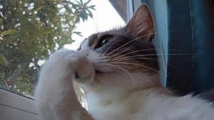 벌써 8월이 되었네요... 덥디 더워 녹아내릴 것 같은 날씨에도 잘 살고 계시죠? 저는 요즘 새로운 사랑을 찾아 유사를 안 올리고 있습니다만... 또 전 남편들을 잊지 못하고 돌아오겠죠. 잉친분들은 요즘 누굴 사랑하고 계시나요? 스핀으로 알려주세요! 🥰