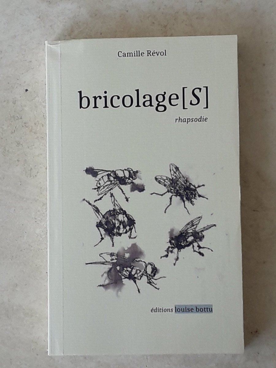 Le facteur est bricoleur. 
<a href="/louisebottu/">louise bottu</a>