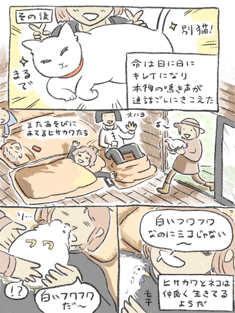 遠方から遊びに来た友人がボロボロの地域猫を光の速さで連れ帰った話