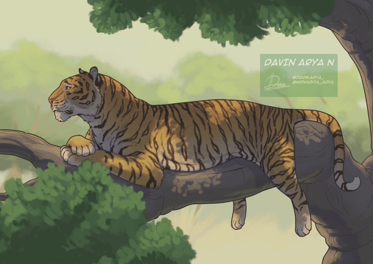 Panthera gombaszoegensis #Paleonusantara3

a pantherine cat native to Eurasia. Formerly known as the Eurasian jaguar, they are now considered a close relative of the tigers. Fossils of this species have been found in Java at Kedung Brubus, dating back to the middle Pleistocene