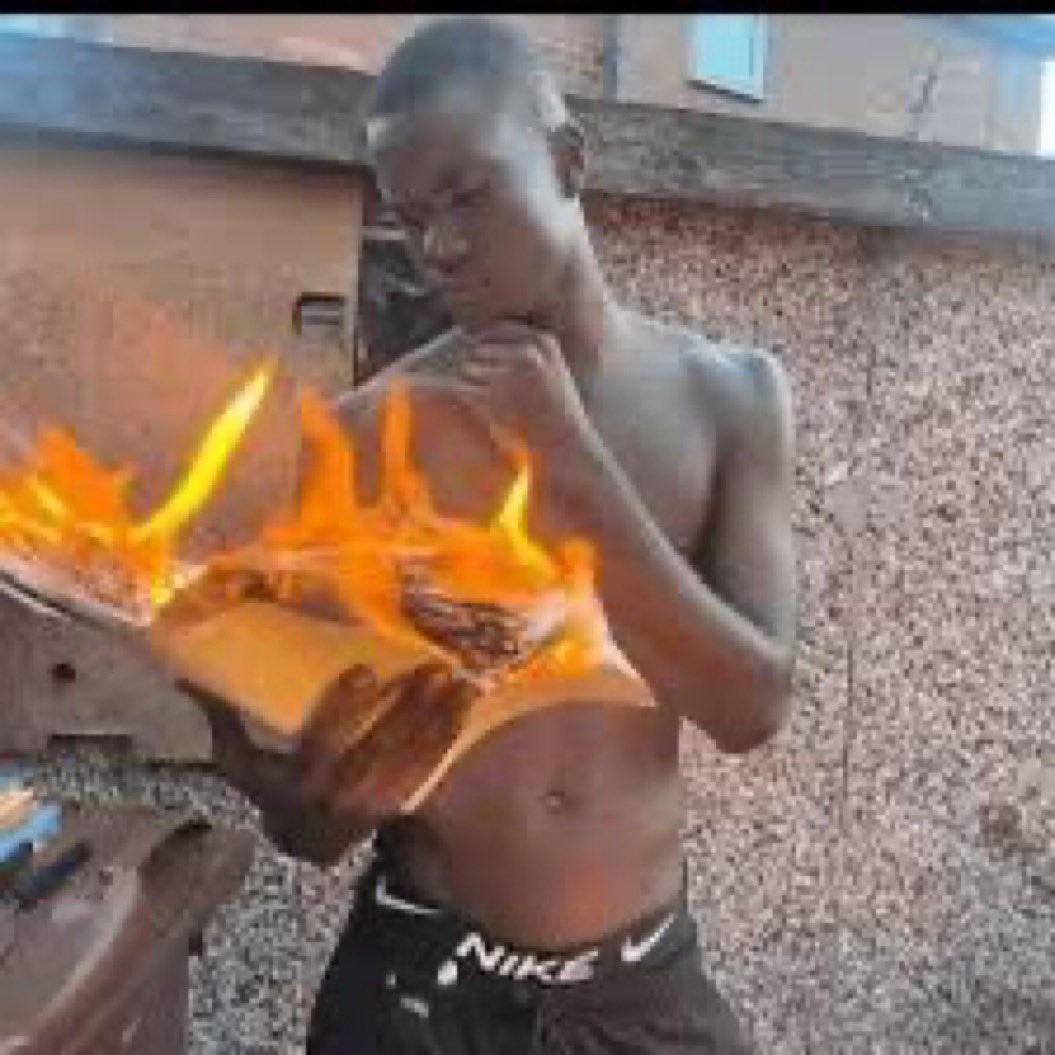 rdvsrt's tweet image. 